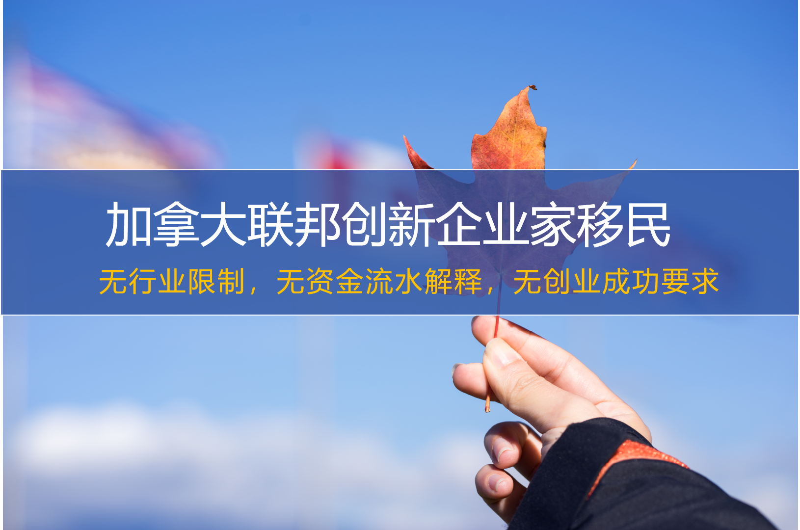 加拿大联邦创新企业家移民